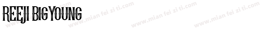 REEJI BigYoung字体转换